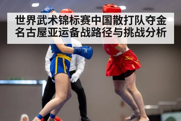 wushu sanda competition